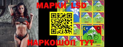 прущие грибы Кулебаки