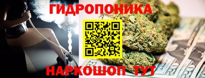 прущие грибы Кулебаки