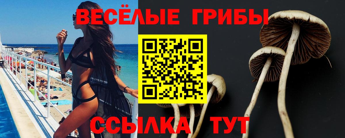 Егорьевск  Псилоцибиновые грибы GOLDEN TEACHER  Псилоцибиновые грибы мухоморы  наркотики  Вход с VPN 