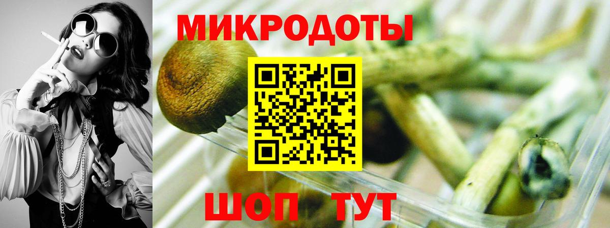 Псилоцибиновые грибы мухоморы Егорьевск